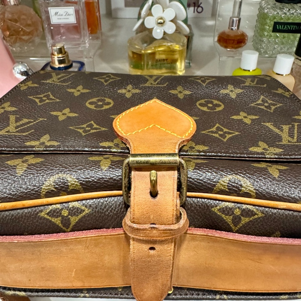 Louis Vuitton Monogram Cartouchiere Canvas MM - Picture 9 of 14